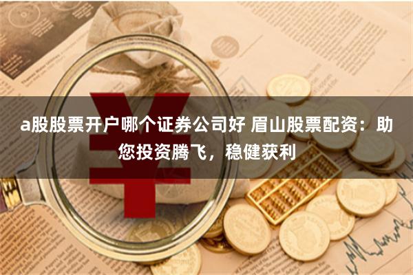 a股股票开户哪个证券公司好 眉山股票配资:助您投资腾飞,稳健获利