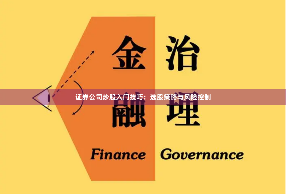 证券公司炒股入门技巧：选股策略与风险控制